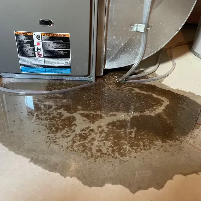 Appliance Leak Cleanup in Germantown, TN